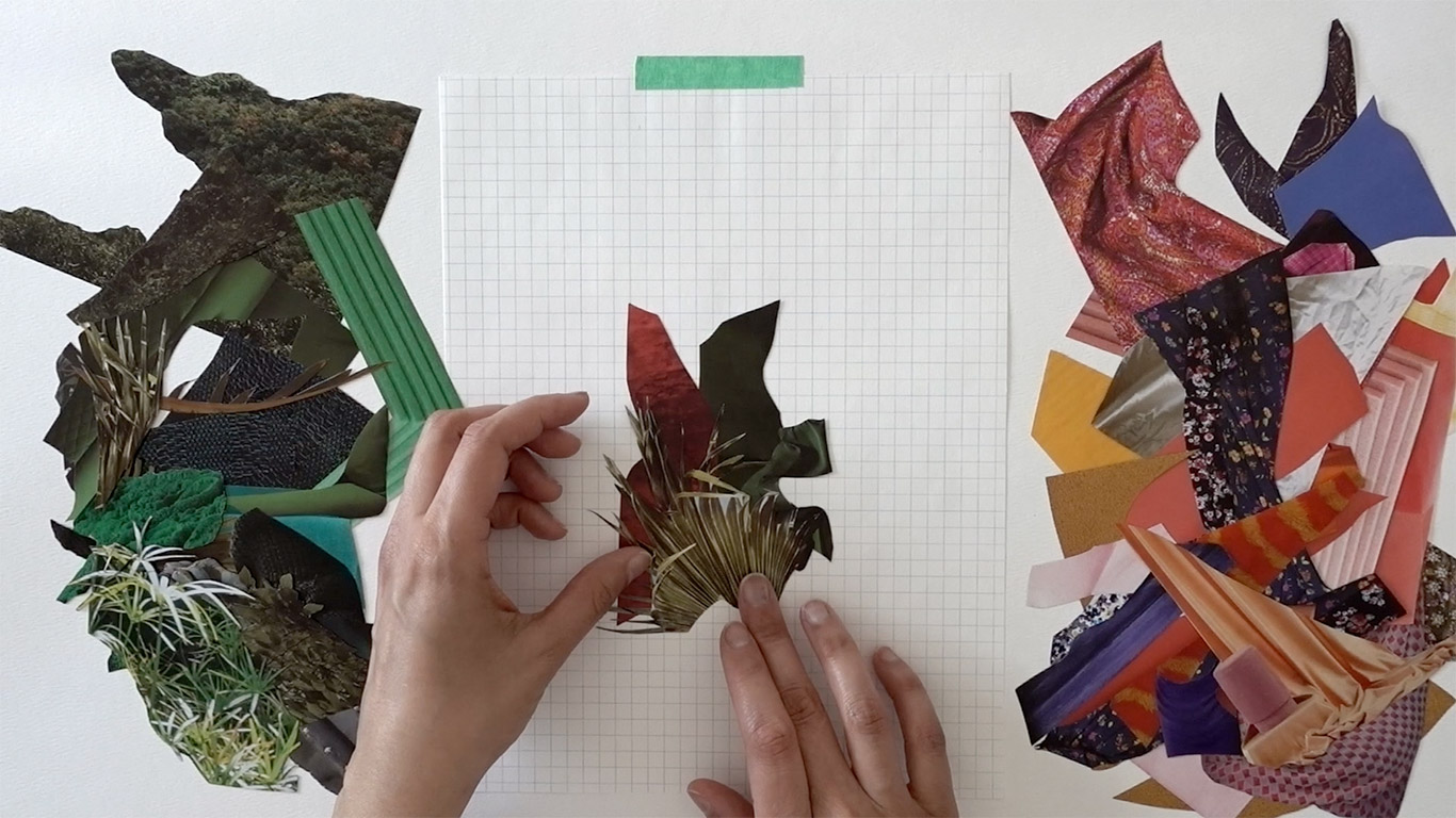 Erika DeFreitas, studies for gardens (each form is the fixed snapshot of a process), image extraite de la vidéo, 2017/2020